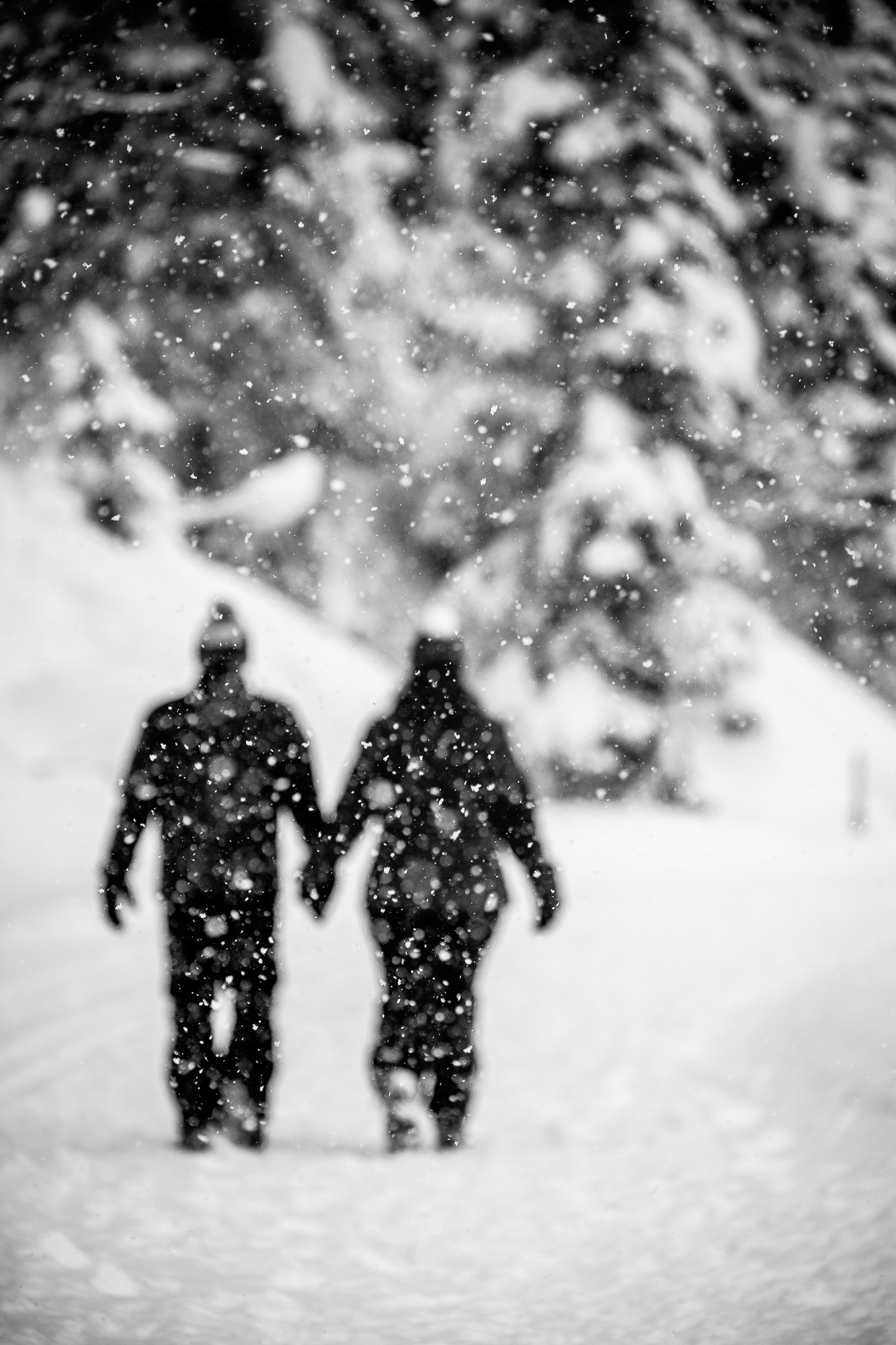 Export x3 1DX29370 Verlobungsfotoshooting 2018 Anna & Dominik 4